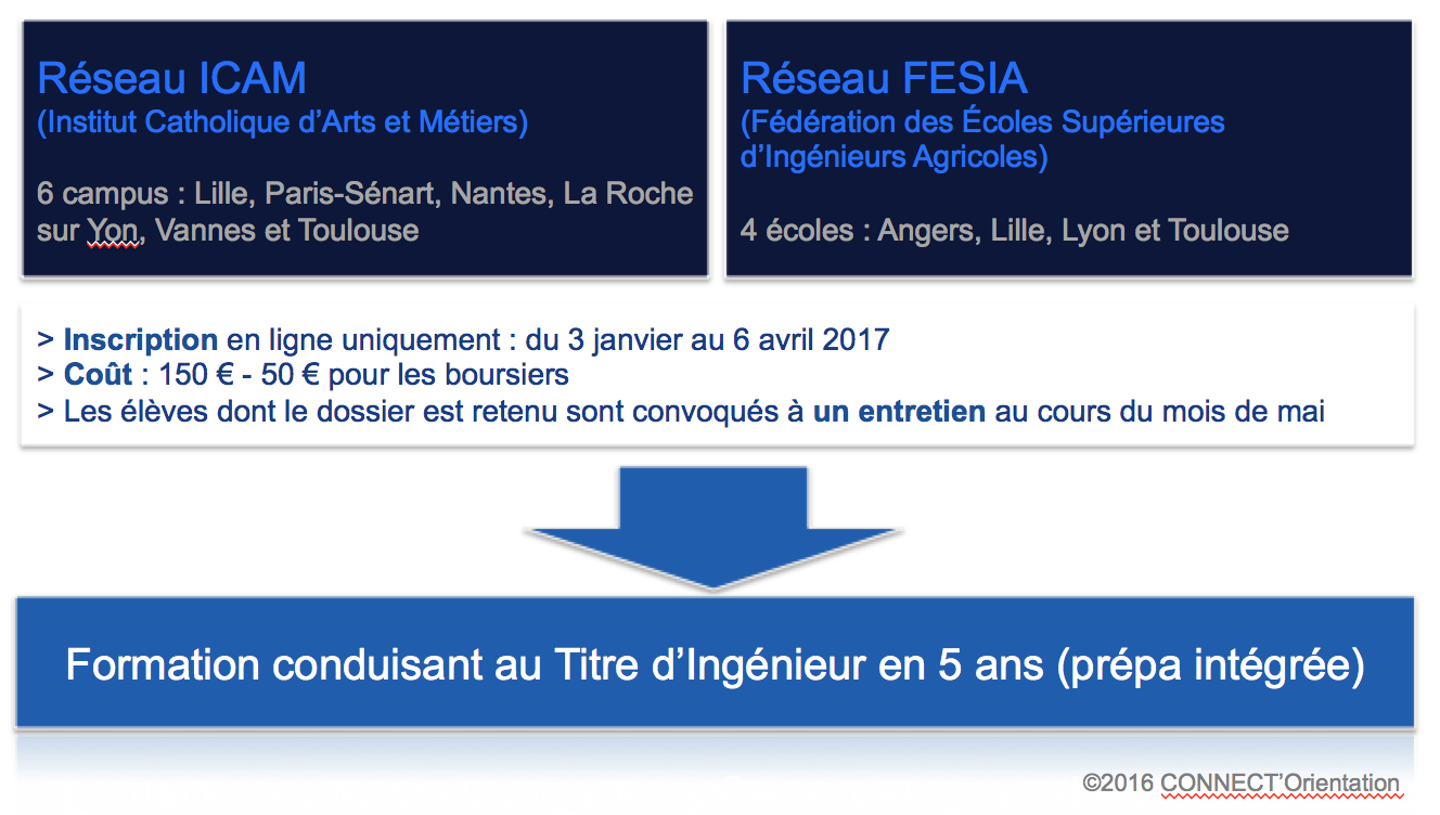 Ecoleingénieurhorsapb - CONNECT'Orientation